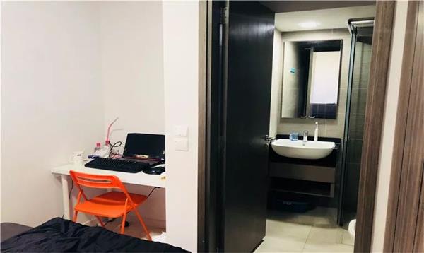 新加坡楷博高等教育学院就业服务详解，毕业求职更轻松！